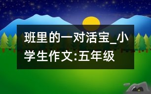 班里的一對“活寶”_小學生作文:五年級