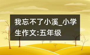 我忘不了,小溪_小學(xué)生作文:五年級(jí)