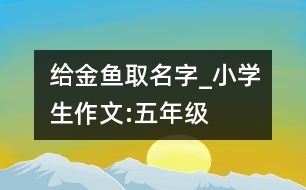 給金魚取名字_小學(xué)生作文:五年級(jí)