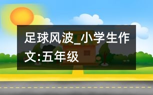 足球風(fēng)波_小學(xué)生作文:五年級