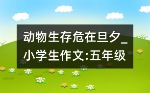 動(dòng)物生存危在旦夕_小學(xué)生作文:五年級(jí)