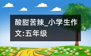 酸甜苦辣_小學(xué)生作文:五年級