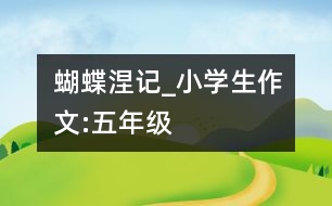 蝴蝶涅記_小學(xué)生作文:五年級(jí)