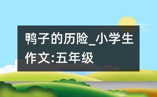 鴨子的歷險_小學生作文:五年級