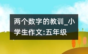 兩個(gè)數(shù)字的教訓(xùn)_小學(xué)生作文:五年級(jí)