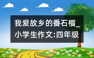 我愛故鄉(xiāng)的番石榴_小學生作文:四年級