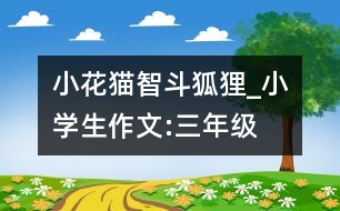 小花貓智斗狐貍_小學(xué)生作文:三年級(jí)