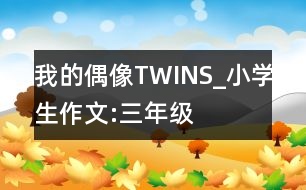 我的偶像TWINS_小學(xué)生作文:三年級(jí)