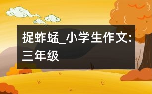 捉蚱蜢_小學(xué)生作文:三年級