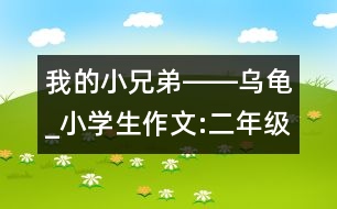 我的小兄弟――烏龜_小學(xué)生作文:二年級