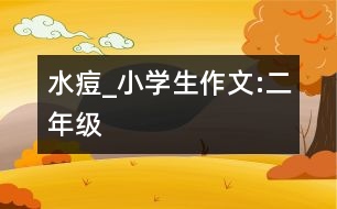 水痘_小學(xué)生作文:二年級(jí)