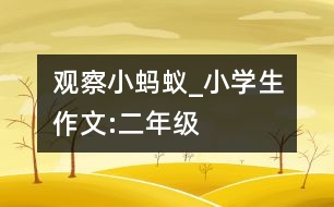 觀察小螞蟻_小學(xué)生作文:二年級