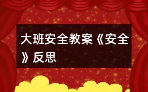 大班安全教案《安全》反思