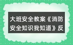 大班安全教案《消防安全知識我知道》反思