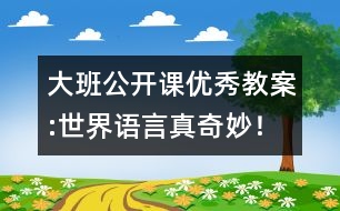 大班公開課優(yōu)秀教案:世界語言真奇妙！