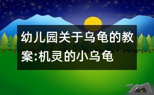 幼兒園關于烏龜?shù)慕贪?機靈的小烏龜