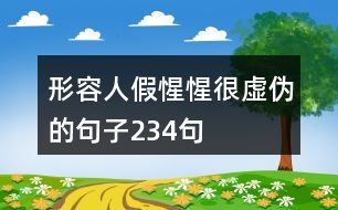 形容人假惺惺很虛偽的句子234句