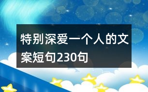 特別深愛一個(gè)人的文案短句230句