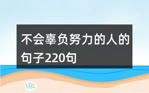 不會辜負努力的人的句子220句