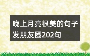 晚上月亮很美的句子,發(fā)朋友圈202句