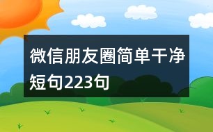 微信朋友圈簡(jiǎn)單干凈短句223句