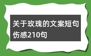 關于玫瑰的文案短句傷感210句