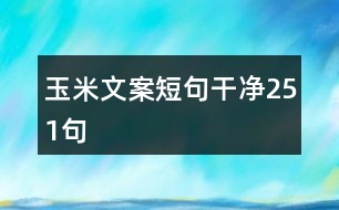 玉米文案短句干凈251句