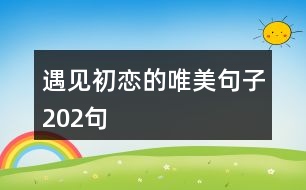 遇見(jiàn)初戀的唯美句子202句