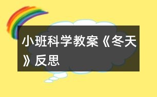 小班科學教案《冬天》反思