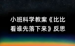 小班科學(xué)教案《比比看誰先落下來》反思