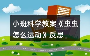 小班科學(xué)教案《蟲(chóng)蟲(chóng)怎么運(yùn)動(dòng)》反思