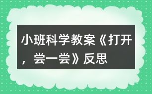 小班科學(xué)教案《打開，嘗一嘗》反思