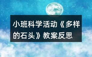 小班科學活動《多樣的石頭》教案反思