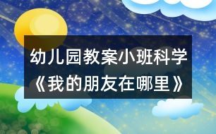 幼兒園教案小班科學(xué)《我的朋友在哪里》