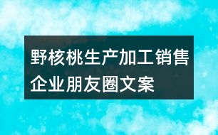 野核桃生產(chǎn)、加工、銷(xiāo)售企業(yè)朋友圈文案32句