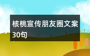 核桃宣傳朋友圈文案30句