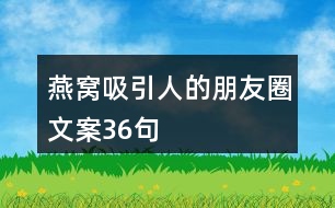 燕窩吸引人的朋友圈文案36句