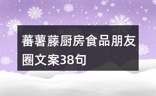 蕃薯藤廚房食品朋友圈文案38句