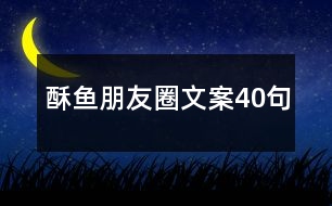 酥魚(yú)朋友圈文案40句