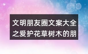 文明朋友圈文案大全之愛(ài)護(hù)花草樹(shù)木的朋友圈文案36句