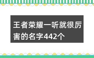 王者榮耀一聽就很厲害的名字442個