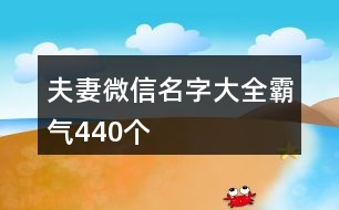 夫妻微信名字大全霸氣440個