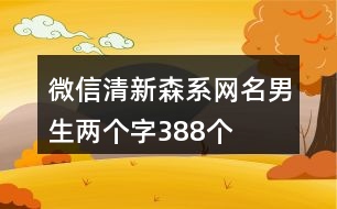 微信清新森系網(wǎng)名男生兩個(gè)字388個(gè)