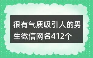 很有氣質吸引人的男生微信網名412個