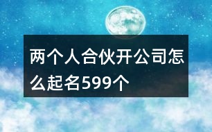 兩個人合伙開公司怎么起名599個