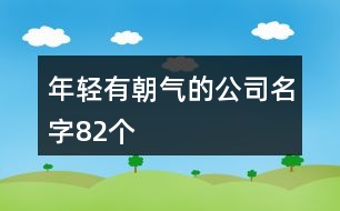 年輕有朝氣的公司名字82個