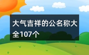 大氣吉祥的公名稱大全107個