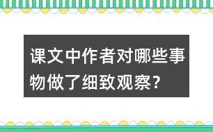 課文中作者對哪些事物做了細(xì)致觀察？