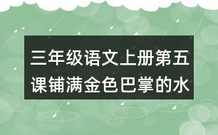 三年級(jí)語文上冊(cè)第五課鋪滿金色巴掌的水泥道課后答案