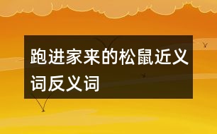 跑進(jìn)家來的松鼠近義詞反義詞